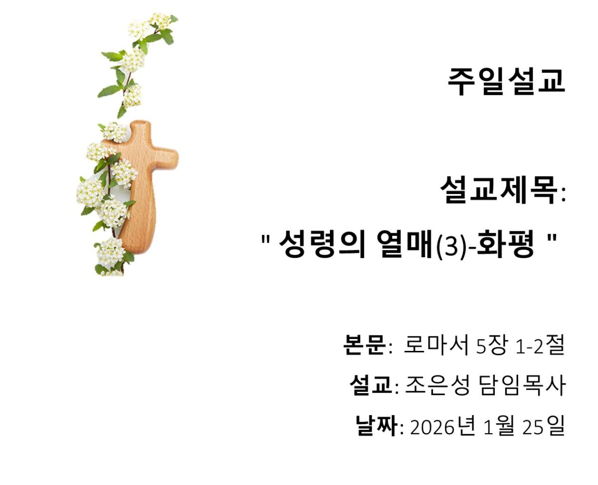 성령의 열매(3) – 화평